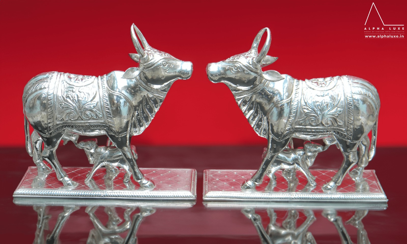 WhatsApp Image 2023-10-21 at 11.50.00 AM (10).jpeg